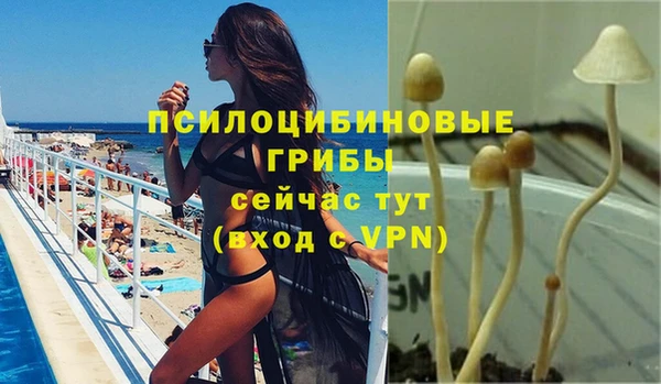 герыч Горнозаводск