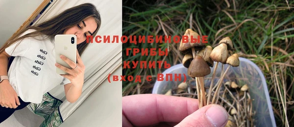 наркотики Гусиноозёрск