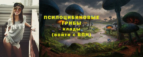 мяу мяу кристалл Горняк