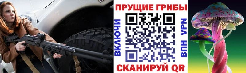 наркошоп  Шимановск  Галлюциногенные грибы GOLDEN TEACHER 